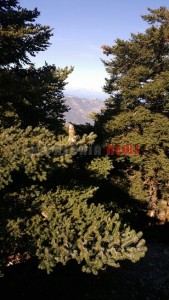 20151013_161544_resized