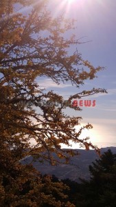 20151013_161800_resized