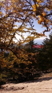 20151013_161847_resized