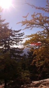 20151013_161905_resized