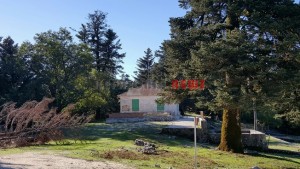 20151013_162634_resized