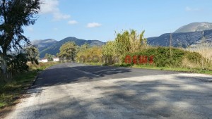 20151106_134953_resized