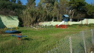 20151116_100115_resized