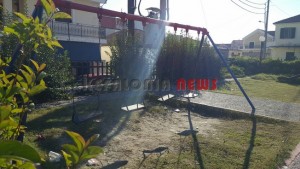 20151116_100354_resized