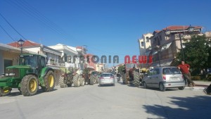 20160127_115952_resized