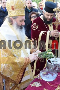 DSC_2685 (Αντιγραφή)