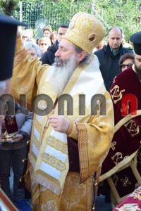 DSC_2693 (Αντιγραφή)