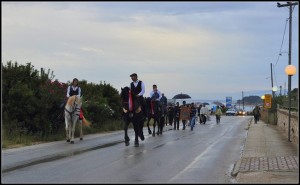 13124649_776345712465525_2455515914993644632_n