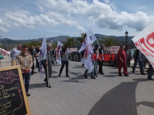 protoma8 059