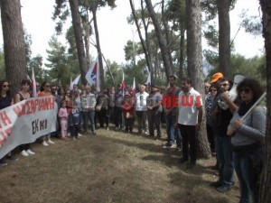 protoma8 115