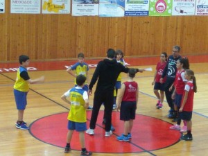 mini (3)