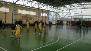 promini (2)