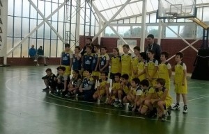 promini (3)