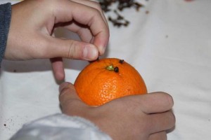 IMG_3124