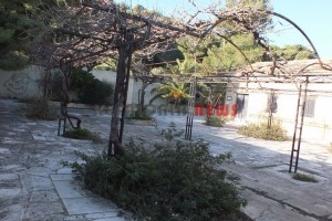 panagia 093