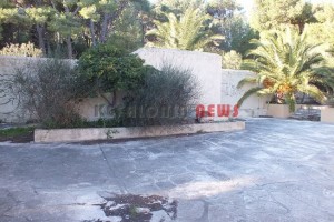 panagia 102