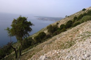 DSC00014