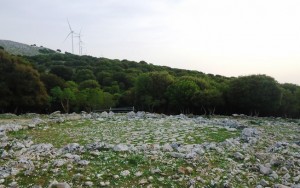 DSC00036
