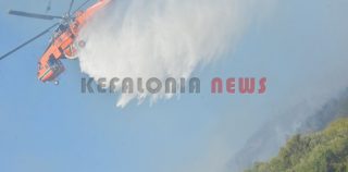 Τρίωρη μάχη με τις φλόγες έδωσαν οι Πυροσβέστες
