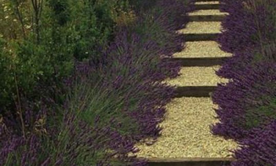 Μετασεισμική χαλαρότης: Μετρώντας πληγές ή ανοίγοντας νέες; Από το ithacanet.gr