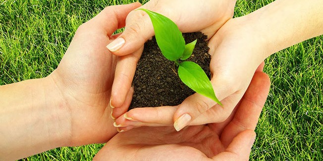 Ευχαριστίριες επιστολές  απο Εθελοντική Ομάδα Λειβαθούς και Ναυτιλιακές Επιχειρήσεις Βεργωτή