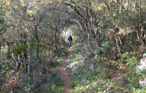 Δηλώνω Ηγέτης (χωρίς εισαγωγικά). Από το ithacanet.gr