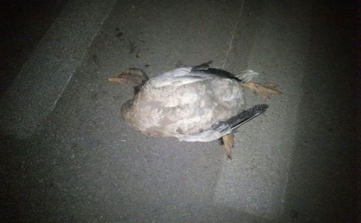 Ο ΚΟΥΤΑΒΟΣ ΣΕ ΚΡΙΣΗ….ΟΙ ΠΟΛΙΤΕΣ ΣΕ ΝΕΥΡΙΚΗ ΚΡΙΣΗ!!!!