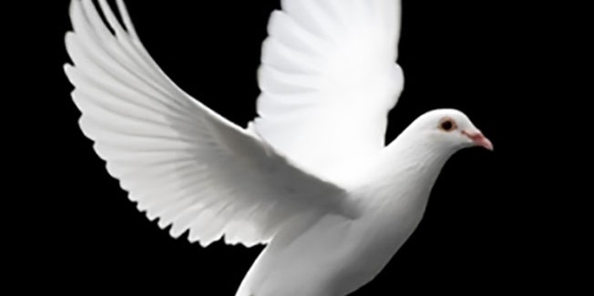 ΧΡΙΣΤΟΥΓΕΝΝΑ ΤΩΝ ΑΦΕΛΩΝ