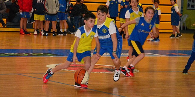 Συνεχίστηκε το Εσωτερικό Αναπτυξιακό Πρωτάθλημα του ΑΣΚ.