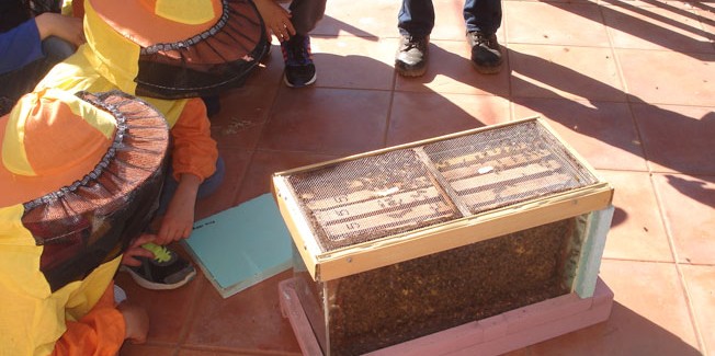 ΕΚΠΑΙΔΕΥΤΙΚΕΣ ΕΠΙΣΚΕΨΕΙΣ  ΣΤΟ   ΜΕΛΙΣΣΟΚΟΜΙΚΟ ΠΑΡΚΟ