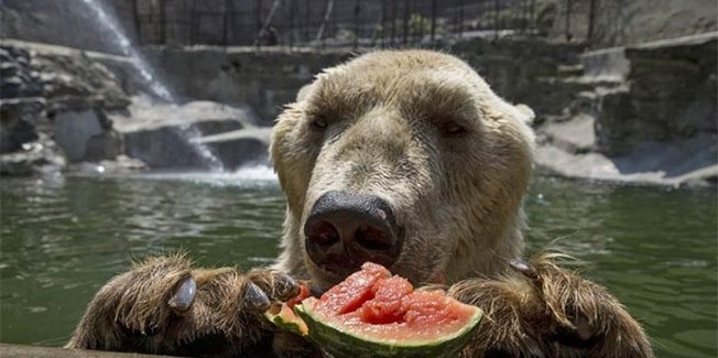 Οι 13 καλύτερες φωτογραφίες της  εβδομάδας