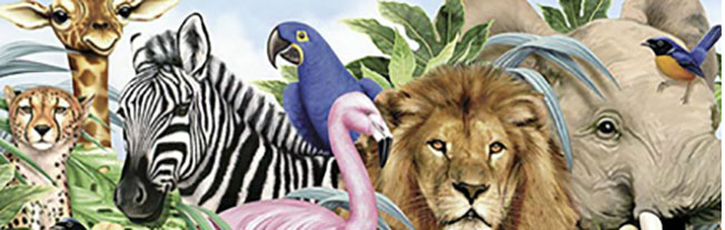 Κοργιαλένειο Βιβλιοθήκη: 12η δράση