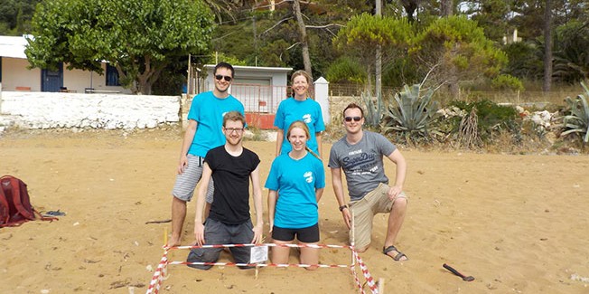 Στα Λέπεδα βγήκαν τα πρώτα θαλάσσια χελωνάκια της Κεφαλονιάς