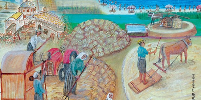 Η ΚΑΛΟΚΑΙΡΙΝΗ ΕΚΔΗΛΩΣΗ ΤΟΥ ΜΠΑΛΛΟΥ