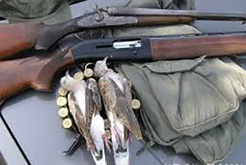 Παράταση ισχύος αδειών κατοχής συλλεκτικών όπλων και λοιπών αντικειμένων