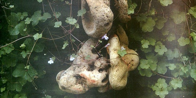 ΕΞΩΦΥΛΛΟ ΚΑΙ ΑΡΘΡΟ Κ. ΕΥΑΓΓΕΛΑΤΟΥ ΣΤΟ ΝΕΟ ΤΕΥΧΟΣ ΤΟΥ ΠΕΡΙΟΔΙΚΟΥ “ΣΥΛΛΟΓΕΣ”