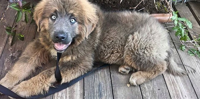 “Χάθηκα, μπορείτε να με βοηθήσετε;”