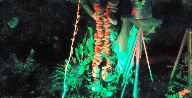 15η ΠΑΝΣΕΛΗΝΟΣ ΣΤΟΝ ΚΗΠΟ ΤΗΣ ΣΥΓΧΡΟΝΗΣ ΠΙΝΑΚΟΘΗΚΗΣ  ΡΟΔΟΠΗ