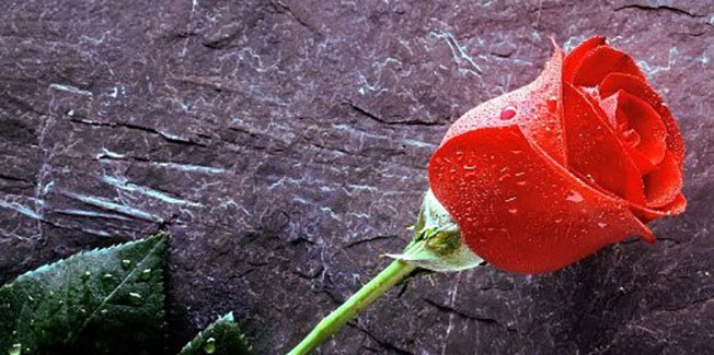 Ευχαριστήριο από την οικ.  Γ. Κακούρη