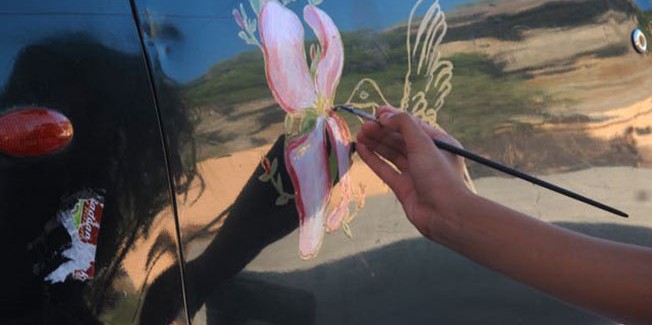 Ζωγραφισμένο βανάκι !!!!!!