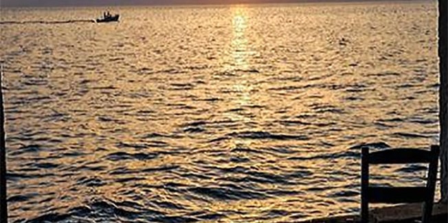 Οι 11 καλύτερες φωτογραφίες της  εβδομάδας.