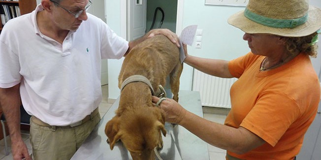 Από τη βαρβαρότητα στην ανθρωποφαγία  …