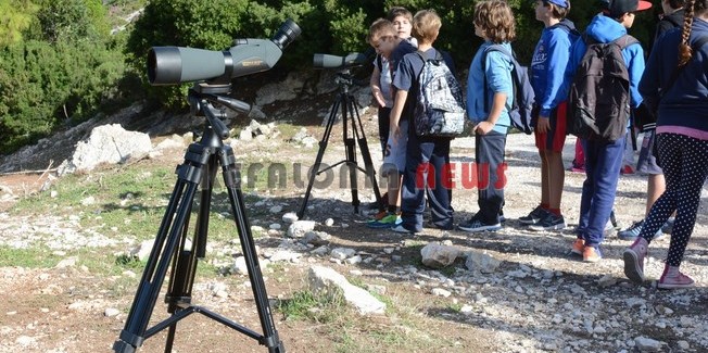 Ευρωπαϊκή Γιορτή Πουλιών
