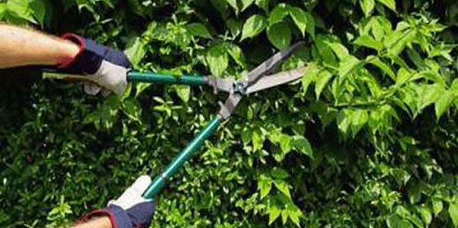 «ΠΡΟΕΙΔΟΠΟΙΗΣΗ  Σχετικά με την τήρηση της διαδικασίας αποκομιδής κλαδεμάτων»