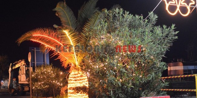 Κυριακάτικη Δράση για τα Λυκόπουλα  στο Ληξούρι