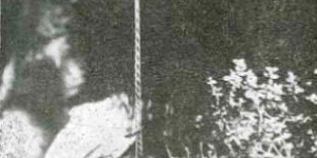 Η Πεζοπορική Σάμης σε Αγία Ελεούσα και Αγγαλάκι.