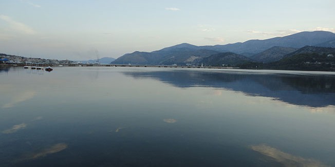 Μεσοχειμωνιάτικες καταμετρήσεις για το 2020 των υδρόβιων και παρυδάτιων πτηνών σε υγροτόπους της Κεφαλονιάς.