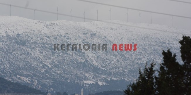 Στα λευκά η Φάλαρη