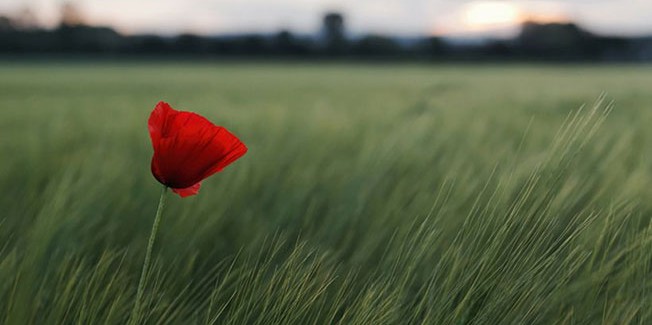 Δύσκολο το 2016 για τον Δήμο.