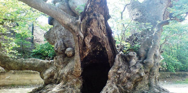 Έχει η Ελλάδα ομορφιές…